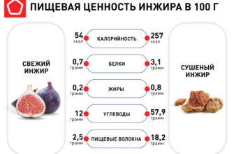 Інжир: користь для жінок. Як цей фрукт впливає на здоров’я?