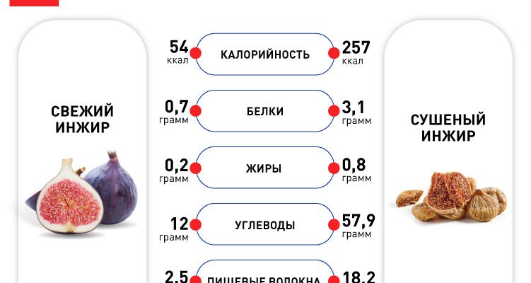 Інжир: користь для жінок. Як цей фрукт впливає на здоров’я?