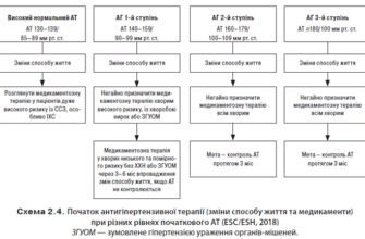 Гіпертонічна хвороба 2 стадії: симптоми, діагностика, лікування
