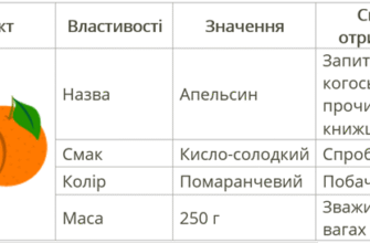 Що таке властивості: визначення, значення та приклади використання