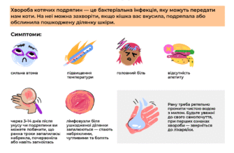 Хвороба котячих подряпин: симптоми, лікування та профілактика