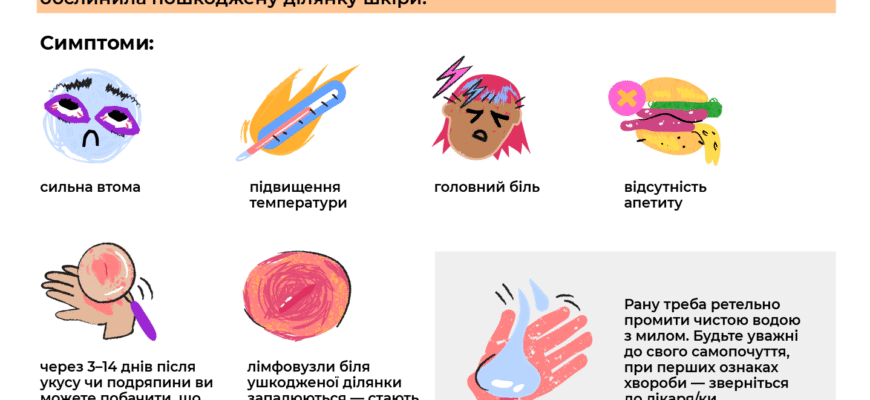 Хвороба котячих подряпин: симптоми, лікування та профілактика