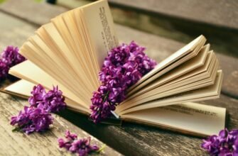 Кальвадос з Нормандії: історія, виробництво та культура споживання