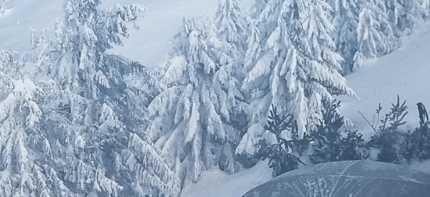 Що таке віхола: розкриття значення та особливості природного явища