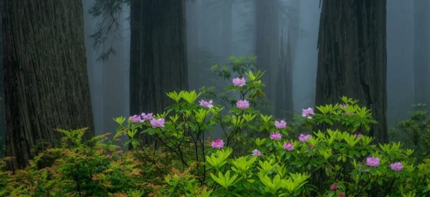 Що таке 79000: Визначення та застосування терміна в Україні