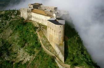 Що таке попит: визначення, приклади та вплив на економіку України