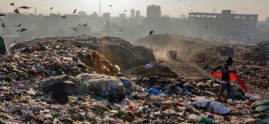 Значення та елементи складу злочину: детальний аналіз для 79000 Значення та елементи складу злочину: детальний аналіз для 79000