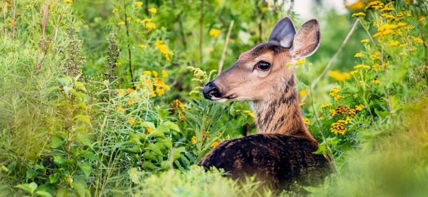 Розширте свідомість: книги, які змінюють світогляд та надихають на нове