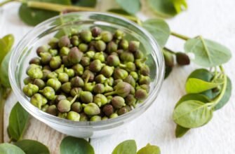 Що таке онкомаркери: їх роль у діагностиці та лікуванні раку