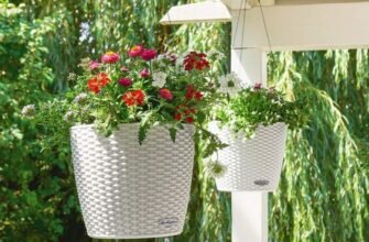 Натуральні соєві свічки: переваги для вашого здоров’я та екології