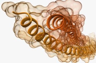 Відкрийте для себе фалафель: історія, склад і рецепти приготування