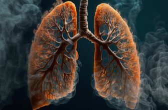 Горизонт: визначення, види та особливості в науці та природі