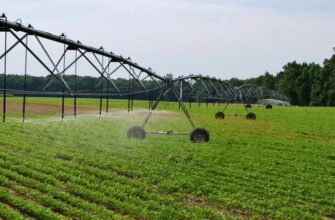 Стоїцизм: Практичний Путівник До Внутрішнього Спокою та Гармонії