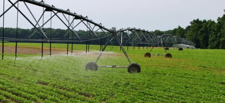 Стоїцизм: Практичний Путівник До Внутрішнього Спокою та Гармонії