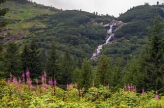 Рівномірно прискорений рух: зрозуміла пояснення для кожного читача