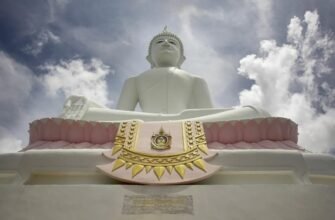 Шейпінг: Все, що потрібно знати для ефективного тренування