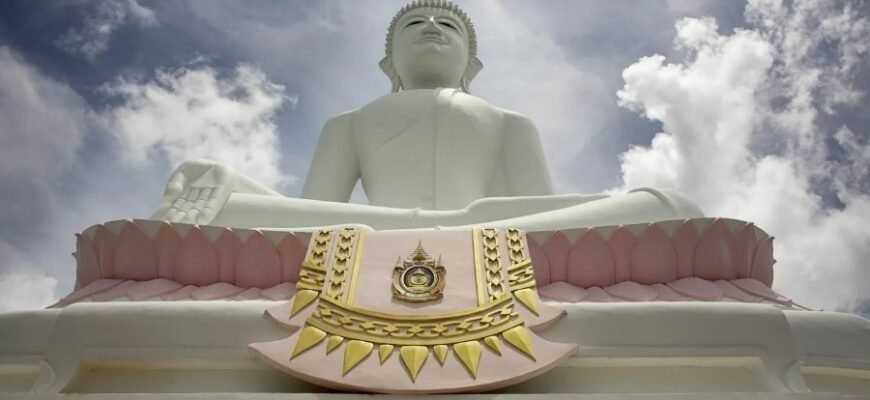 Шейпінг: Все, що потрібно знати для ефективного тренування