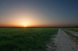 Декаданс: Вплив та значення в культурі та мистецтві XX століття