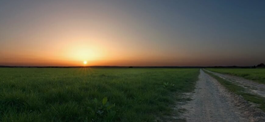Декаданс: Вплив та значення в культурі та мистецтві XX століття Декаданс: Вплив та значення в культурі та мистецтві XX століття