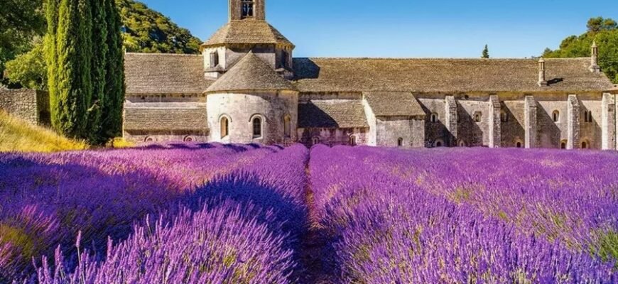 Панкратион: історія, особливості та ключові переваги бойового мистецтва Панкратион: історія, особливості та ключові переваги бойового мистецтва