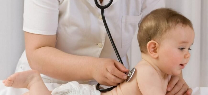 Еволюція: Визначення, Процеси Та Вплив На Біорізноманіття Планети