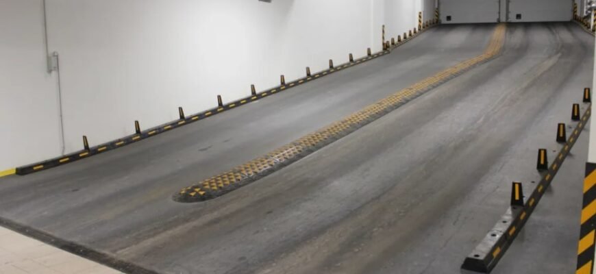 Що таке копчик: функції, будова та значення для організму людини