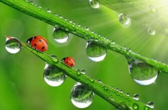 Що таке стерлінгове срібло: все про склад і властивості металу