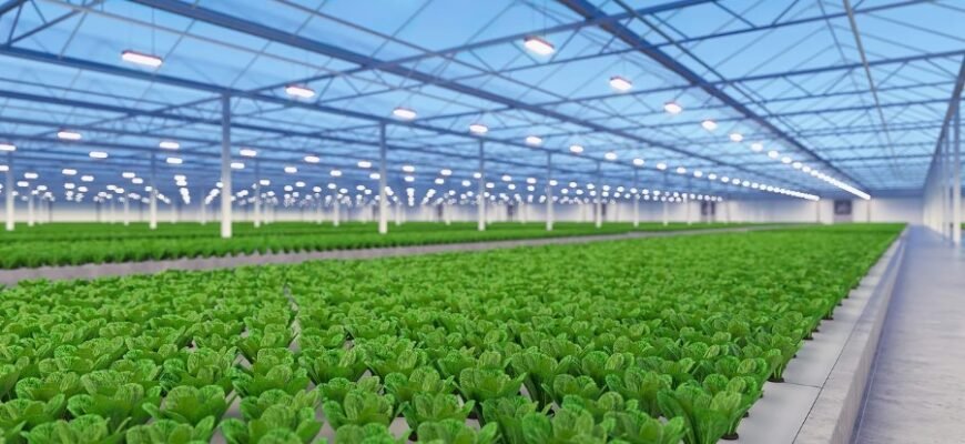 Аукціон: Визначення, Принципи та Як Вигідно Придбати Товар