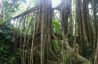 Розкриття поняття серйозних стосунків: всі аспекти та особливості