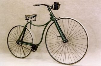 Клітина: Основна Одиниця Життя та Її Роль у Функціонуванні Орг(anizmu)