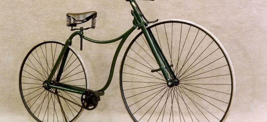 Клітина: Основна Одиниця Життя та Її Роль у Функціонуванні Орг(anizmu) Клітина: Основна Одиниця Життя та Її Роль у Функціонуванні Орг(anizmu)