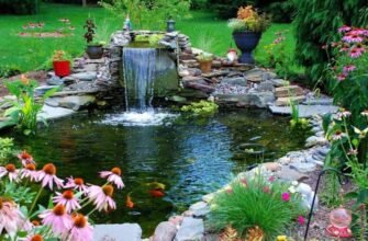 Що таке злакові продукти: корисні властивості та види зернових культур