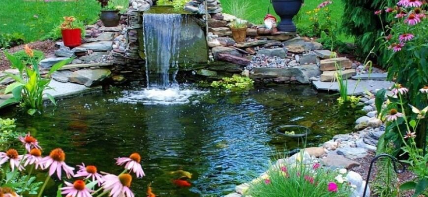 Що таке злакові продукти: корисні властивості та види зернових культур Що таке злакові продукти: корисні властивості та види зернових культур