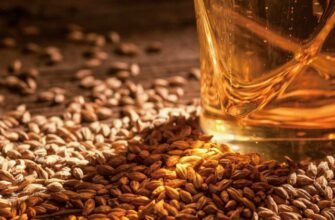 Що таке тайфун: природа, походження та вплив на довкілля