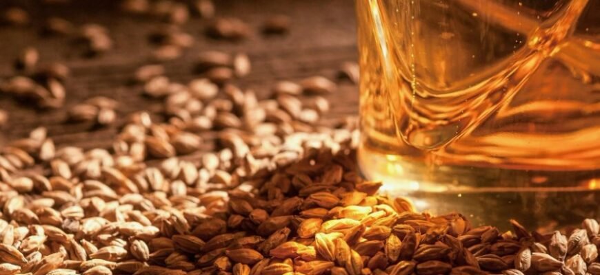 Що таке тайфун: природа, походження та вплив на довкілля