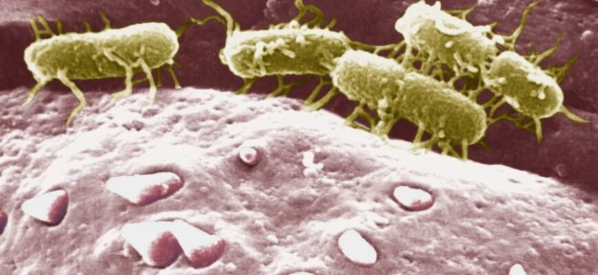 Моноблоки: Що Це Таке Та Як Обрати Оптимальний Вариант Моноблоки: Що Це Таке Та Як Обрати Оптимальний Вариант