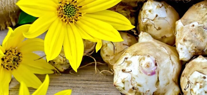 Що таке флора та фауна: основи для розуміння природи | 79000 Що таке флора та фауна: основи для розуміння природи | 79000