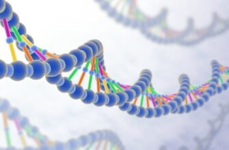 Значення та особливості ЄСВ для ФОП у 2024 році: поради від Господар! Значення та особливості ЄСВ для ФОП у 2024 році: поради від Господар!