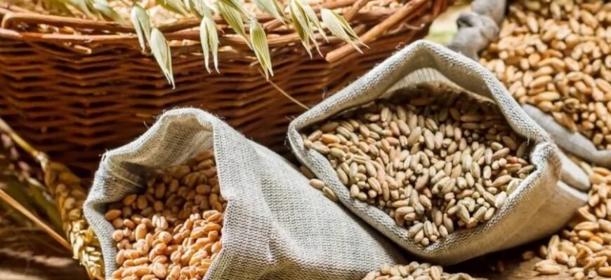 Тремор: Причини, Види та Як Зменшити Його Вплив на Життя Тремор: Причини, Види та Як Зменшити Його Вплив на Життя