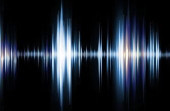 Розуміння транскриптів: як вони впливають на вашу господарку