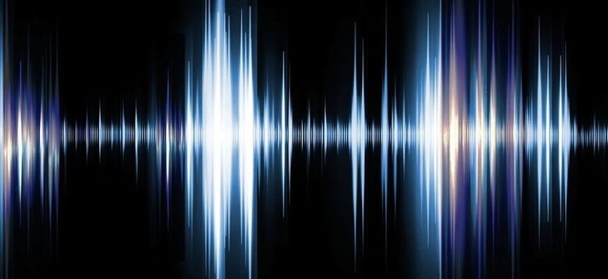 Розуміння транскриптів: як вони впливають на вашу господарку Розуміння транскриптів: як вони впливають на вашу господарку