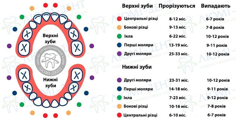 Скільки зубів у дитини 3 роки: повний розвиток зубного ряду