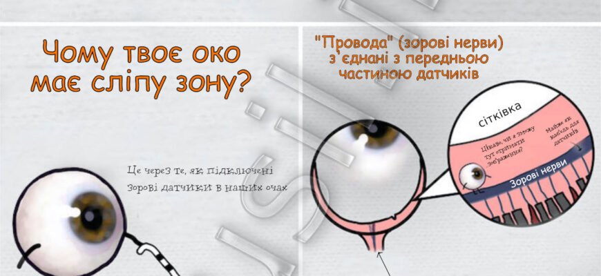 Що таке сліпа пляма: пояснення явища і його значення для зору
