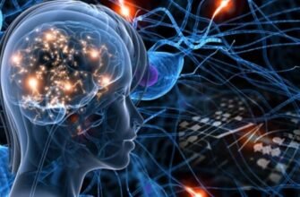 Що таке логіка: визначення, принципи та застосування в житті