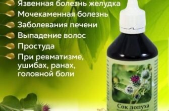 Як користь та шкода соку лопуха впливають на здоров’я?