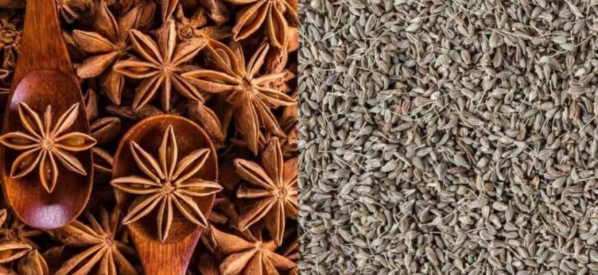 Яка різниця між анісом і бадьяном? Порівняння характеристик