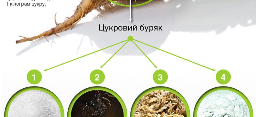 Як виробляють цукор: основні етапи та технології виробництва