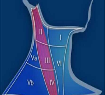 Гулька на шиї у дитини: причини, діагностика та лікування