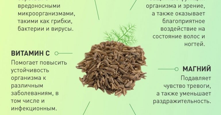Які корисні властивості мають насіння укропу для вашого здоров’я?