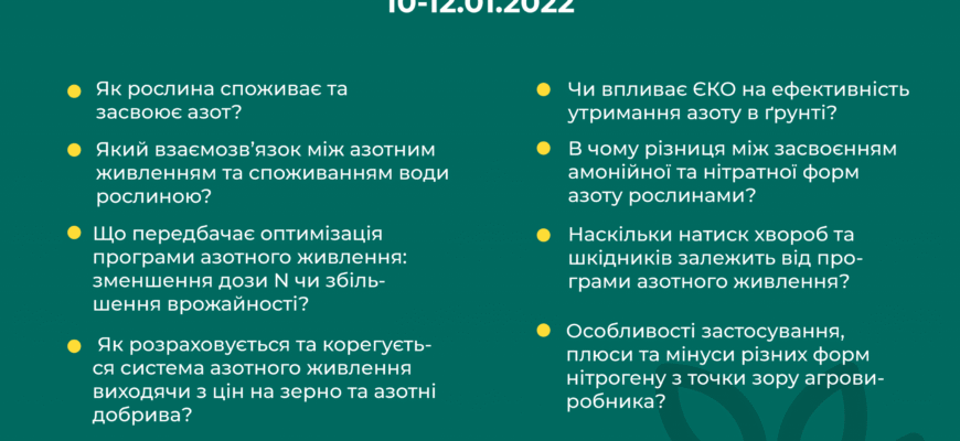 Що таке азот: основні характеристики та застосування елементу